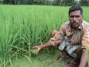 Organic fertilizer | Avani Organic A Good Food Movement in Karnataka